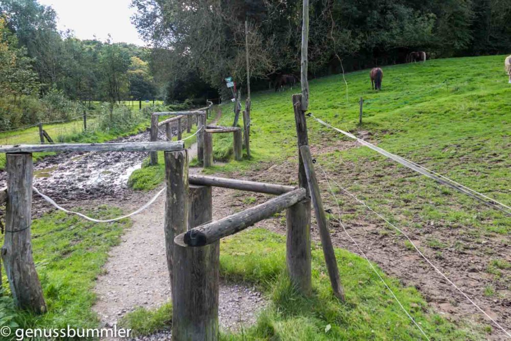 Neanderlandsteig Velbert Essen Kettwig