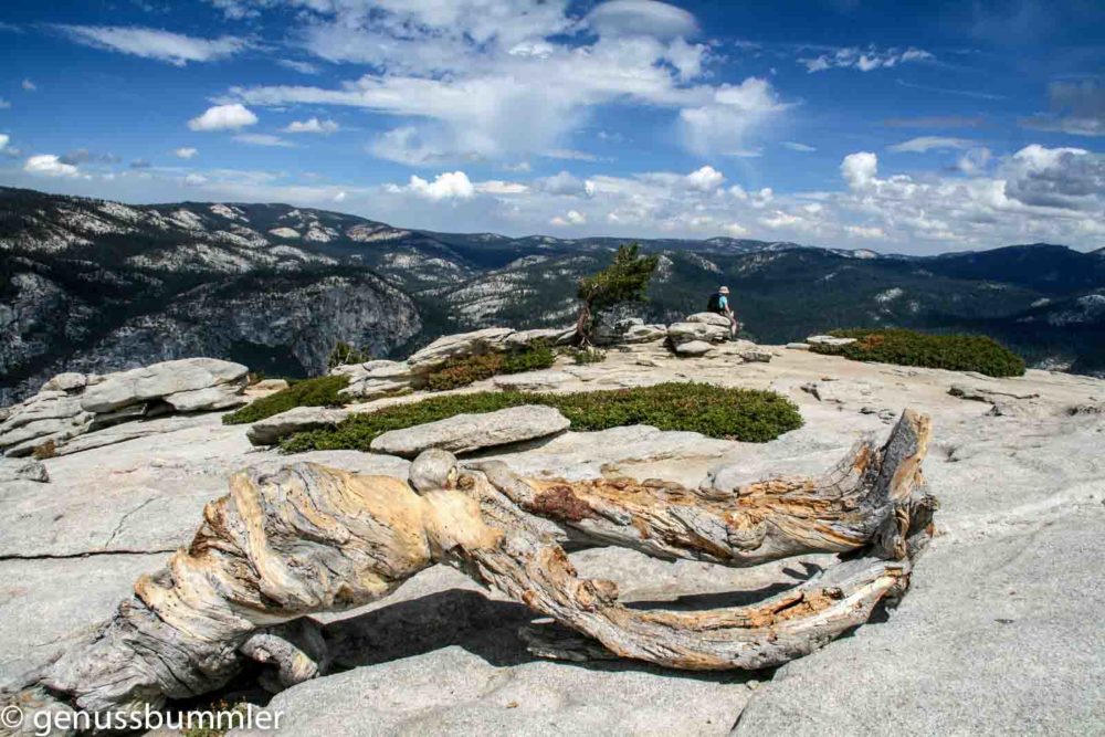 Reisetipps zum Yosemite Nationalpark