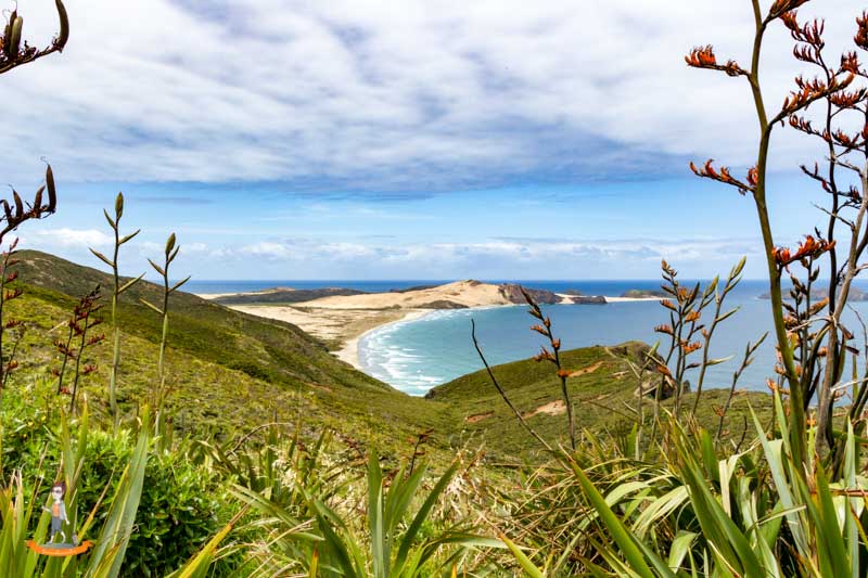 Neuseeland Cape Reinga