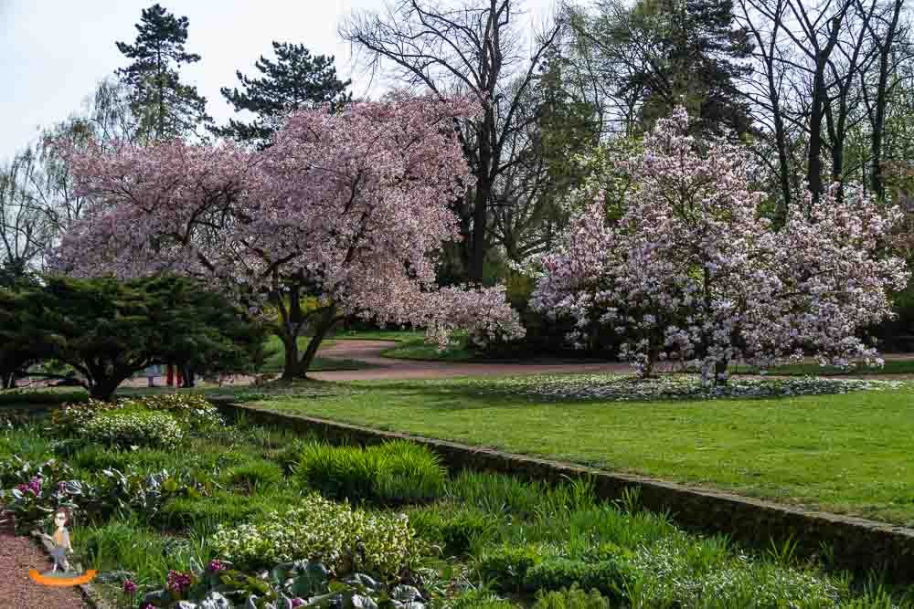 Der Wunderschone Nordpark In Dusseldorf Genussbummler De