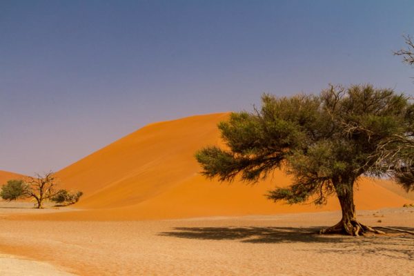 Namibia Sossusvlei – 2 Namibia Sossusvlei Düne 45