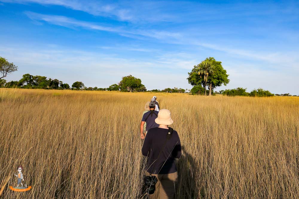 Okavango Delta Safari zu Fuss