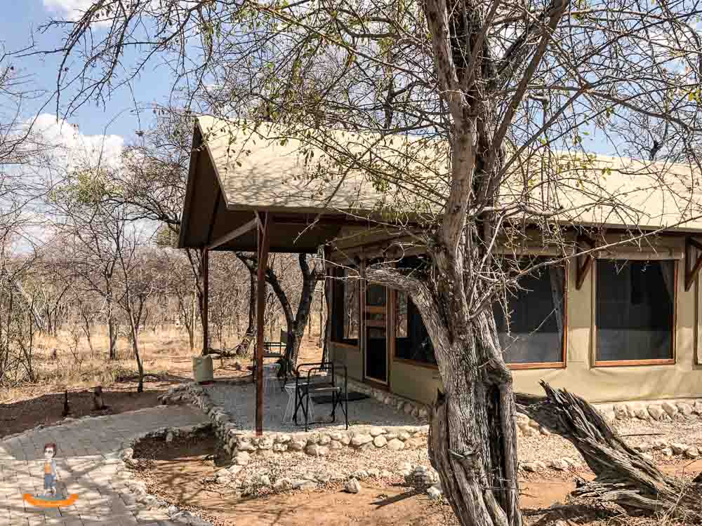 Etosha Nationalpark Namibia Mushara Bush Camp