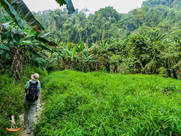 Cuc Phuong Nationalpark Vietnam 3 Cuc Phuong Nationalpark Vietnam