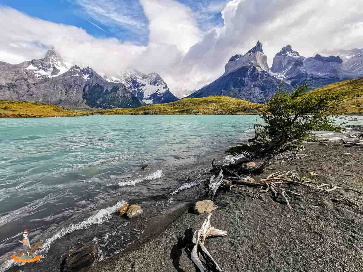 Rückblick 2020 Patagonien