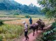 Rundreise Vietnam Kambodscha