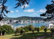 Weihnachten in Wellington